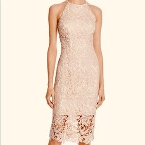 Keepsake Lace Dress
